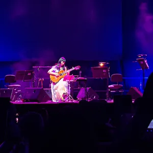 concert photo