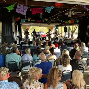 concert photo