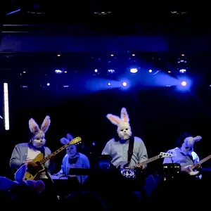 concert photo