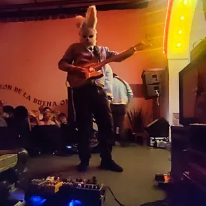concert photo