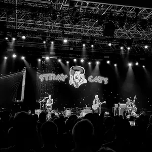 concert photo