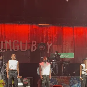 concert photo