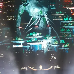 concert photo