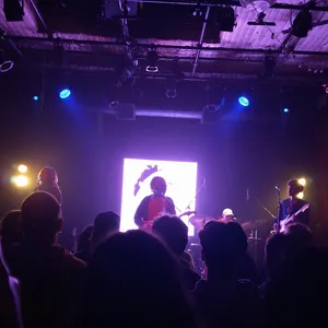 concert photo