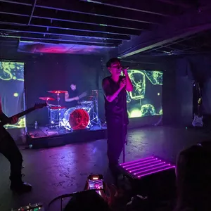 concert photo
