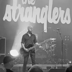 concert photo