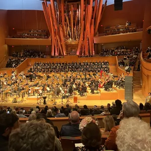 concert photo