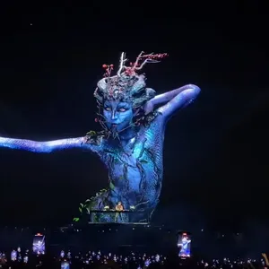 concert photo
