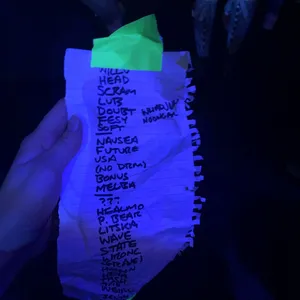 concert photo