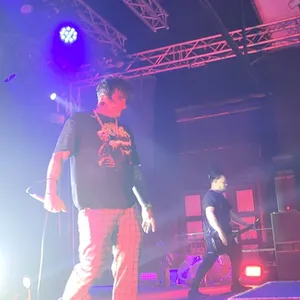 concert photo