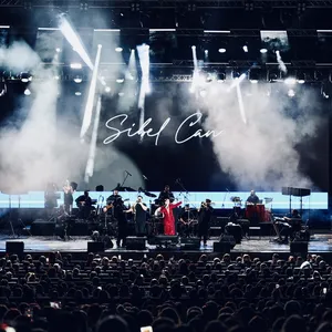 concert photo