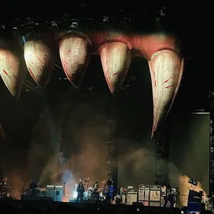 concert photo