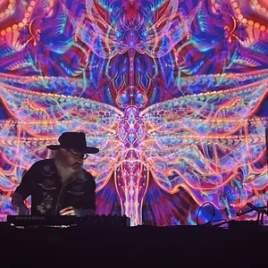 concert photo