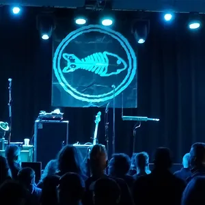 concert photo
