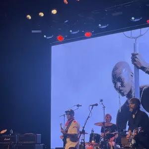 concert photo