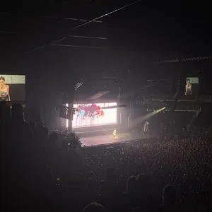 concert photo
