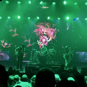 concert photo