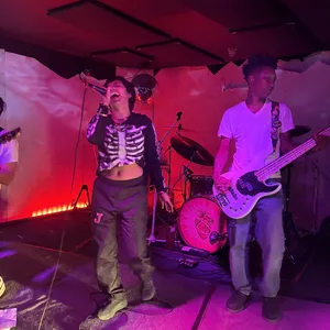 concert photo