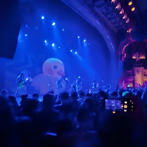 concert photo