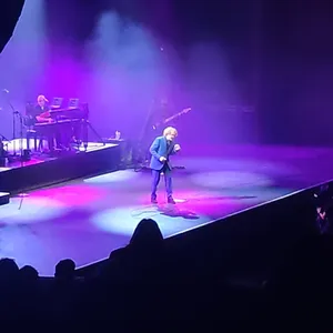 concert photo