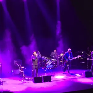 concert photo