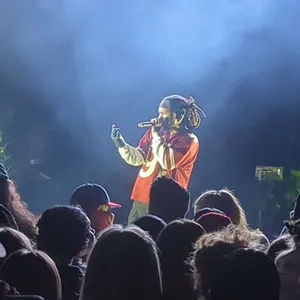 concert photo