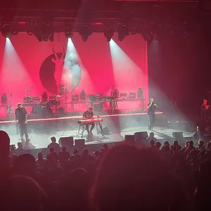 concert photo