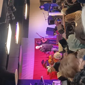 concert photo