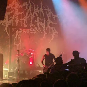 concert photo