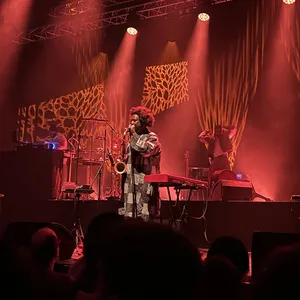 concert photo
