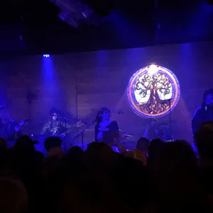 concert photo