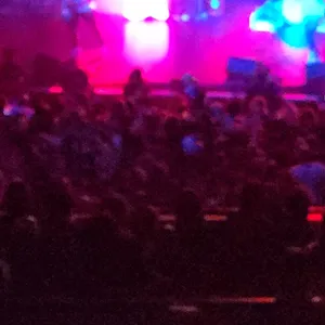 concert photo