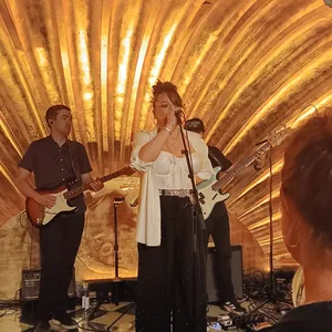 concert photo