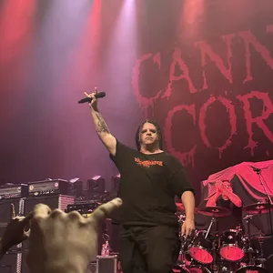 concert photo