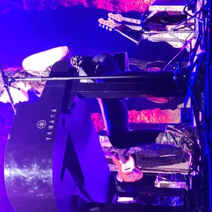 concert photo