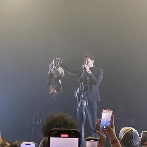 concert photo