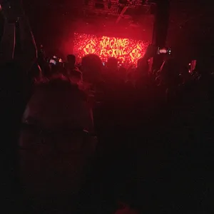 concert photo