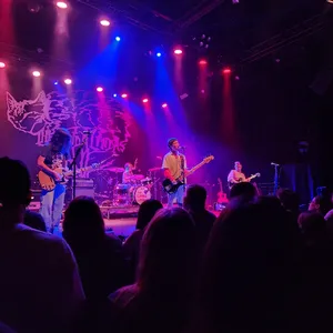 concert photo