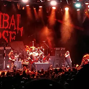 concert photo