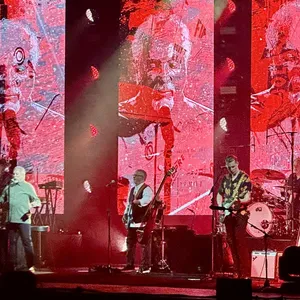 concert photo