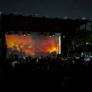 concert photo