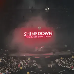 concert photo