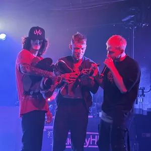 concert photo
