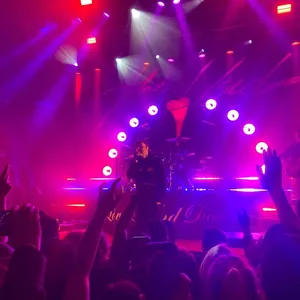 concert photo