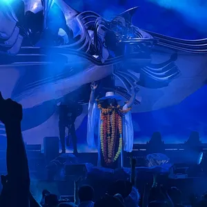 concert photo