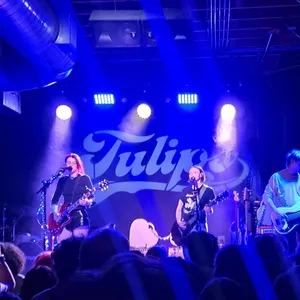 concert photo