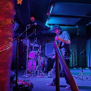 concert photo