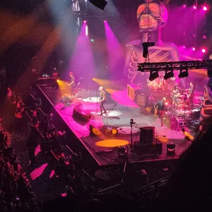 concert photo