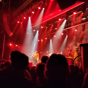 concert photo