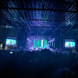 concert photo